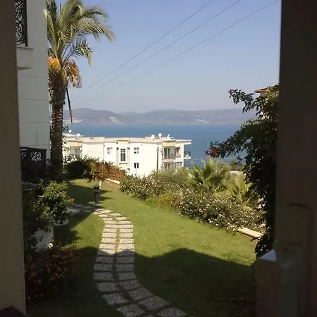 Seaview 1